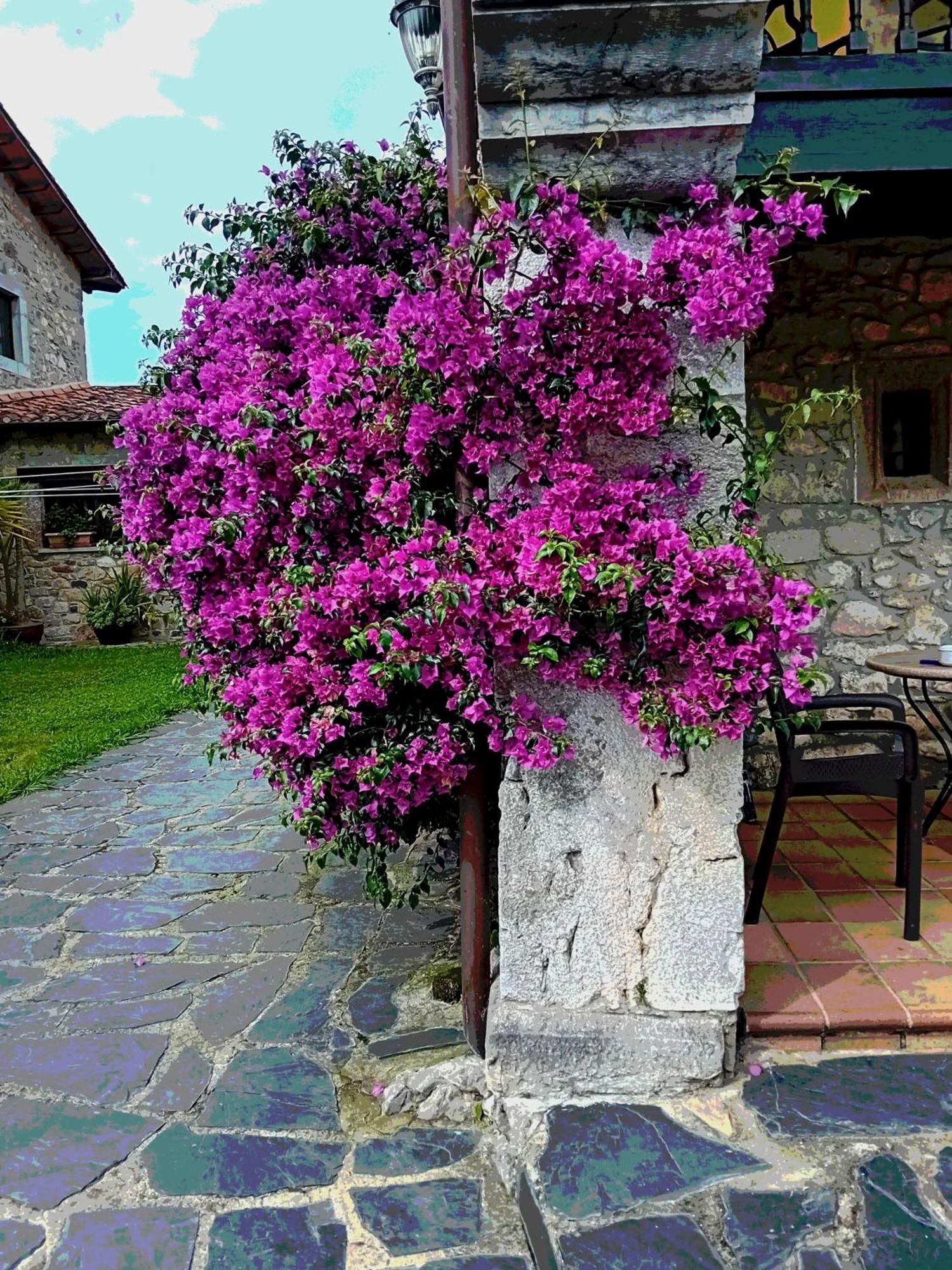 Gran Pedroso De Llanes Villa Exteriör bild